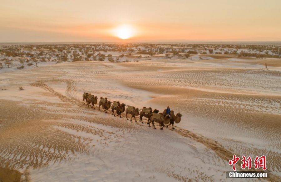 内蒙古巴彦淖尔市乌拉特后旗的巴音温都尔沙漠白雪皑皑、银装素裹，显得神奇而静谧，出牧的驼影与沙海构成一幅迷人的画卷。